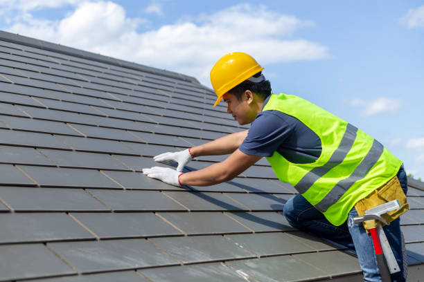 Best Roof Gutter Cleaning  in Shougal, WA